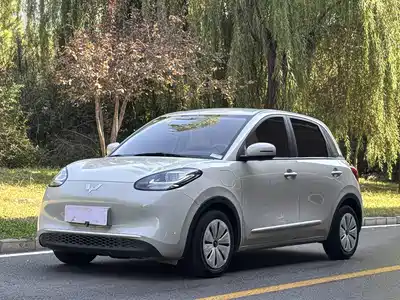 Wuling Bingo