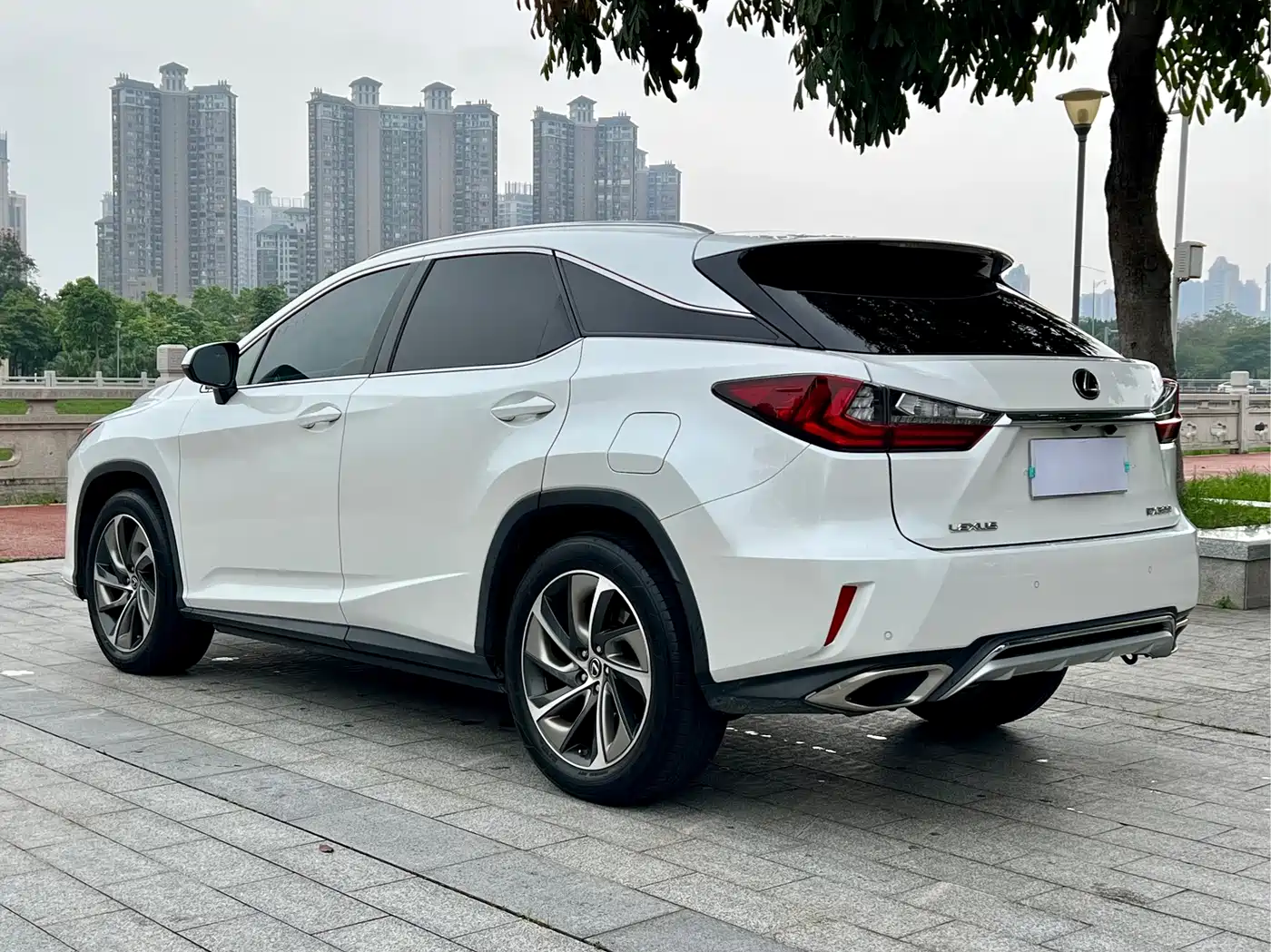 LEXUS RX