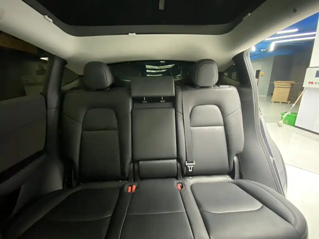  Tesla Model Y 2021 Standard Range Rear-Wheel Drive 19