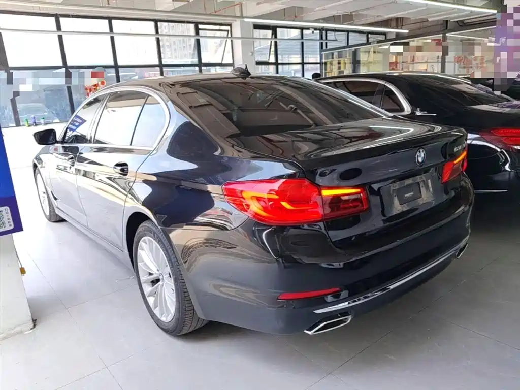 BMW 5 Series 2020 530Li Leading Luxury Package фото 5