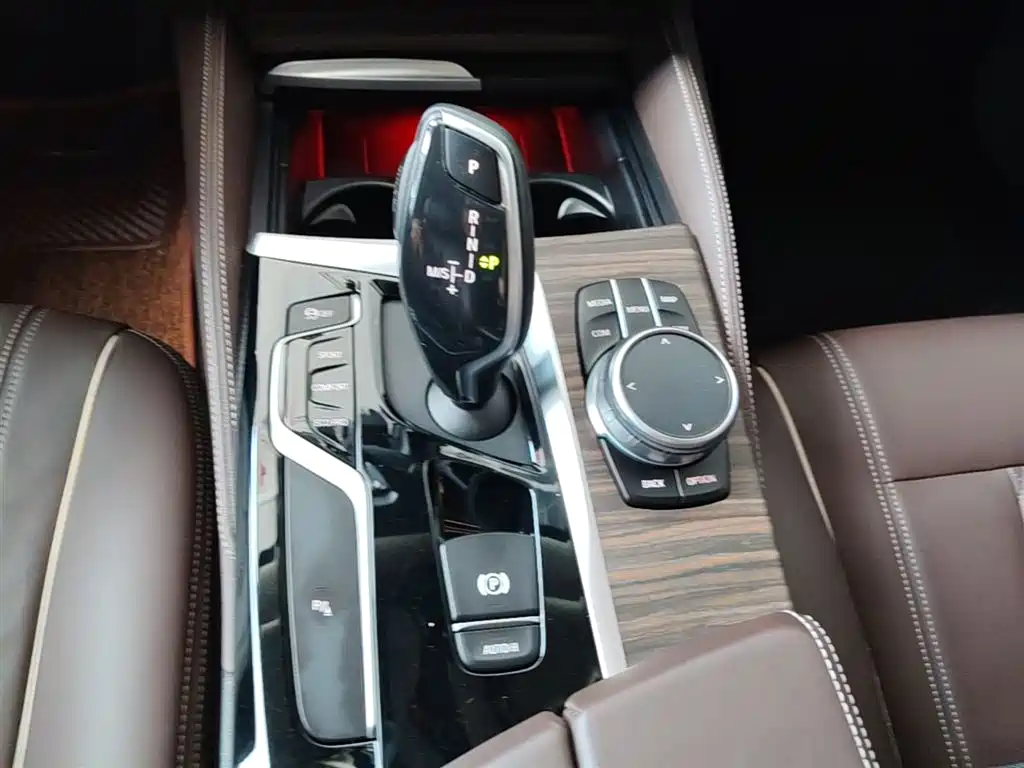 BMW 5 Series 2020 530Li Leading Luxury Package фото 14