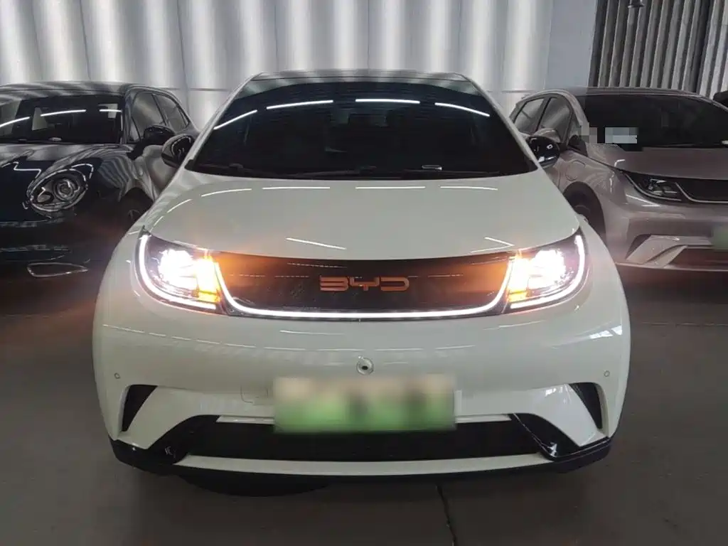 Фото 3 - BYD Dolphin