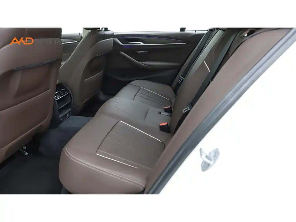 BMW 5 Series 2021 530Li Leading Luxury Package фото 7