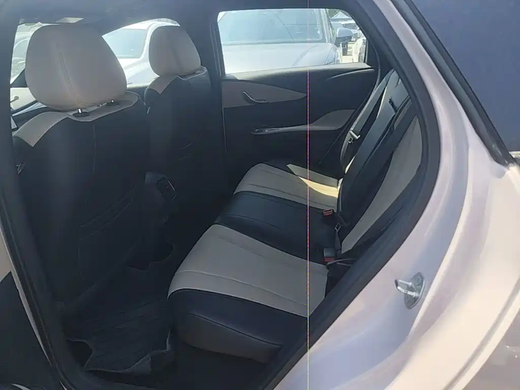 BYD Dolphin 2025 2025 Smart Drive Edition 520km Knight Version