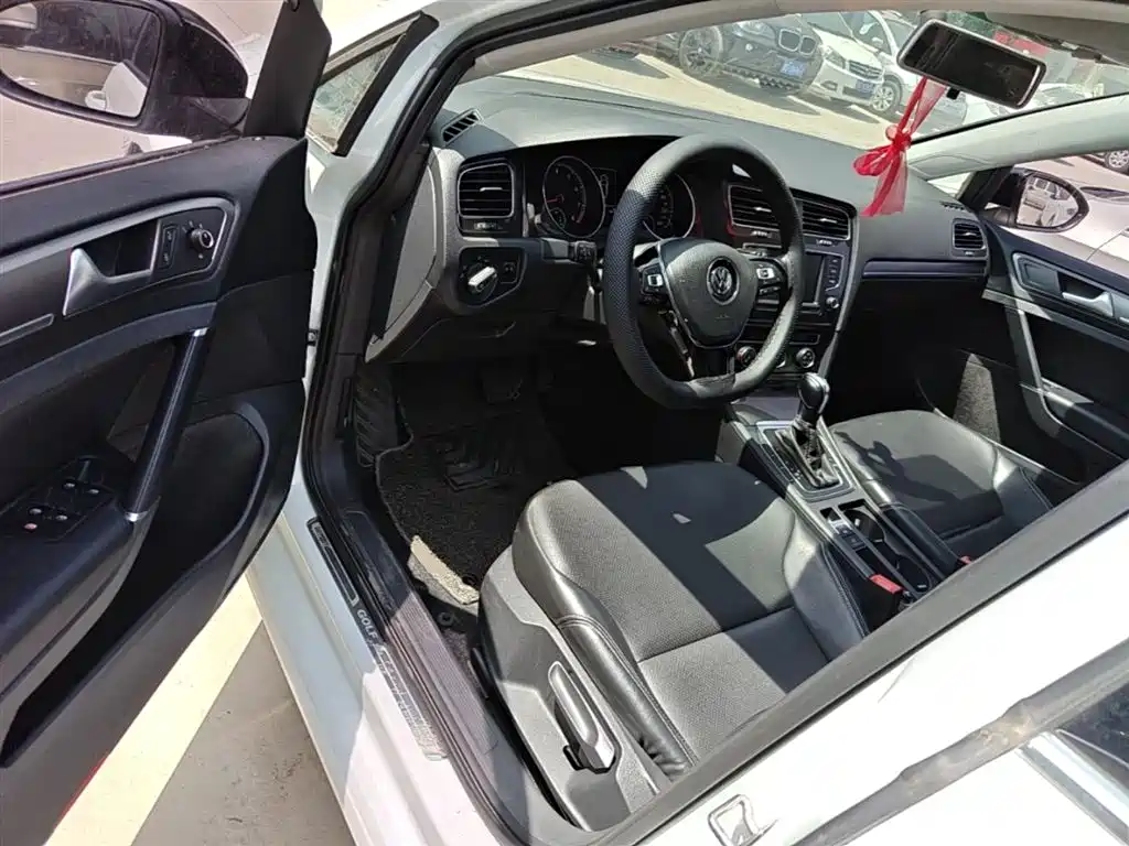 Volkswagen Golf 2017 230TSI Auto Comfort Millionth Anniversary Edition фото 16