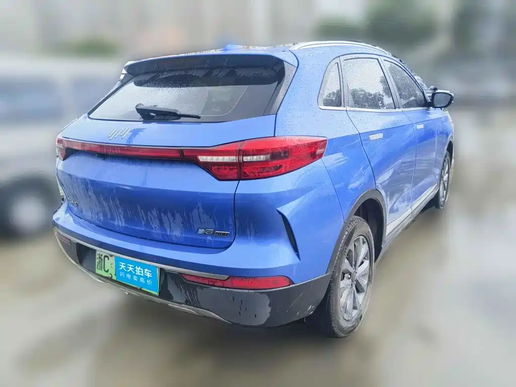 Weltmeister EX5 2020 2019 EX5 Mate Power Alliance Edition 400
