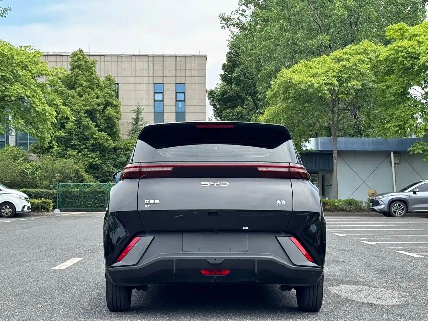 BYD Seagull 2024 Glory Edition 305km Vitality Edition фото 11