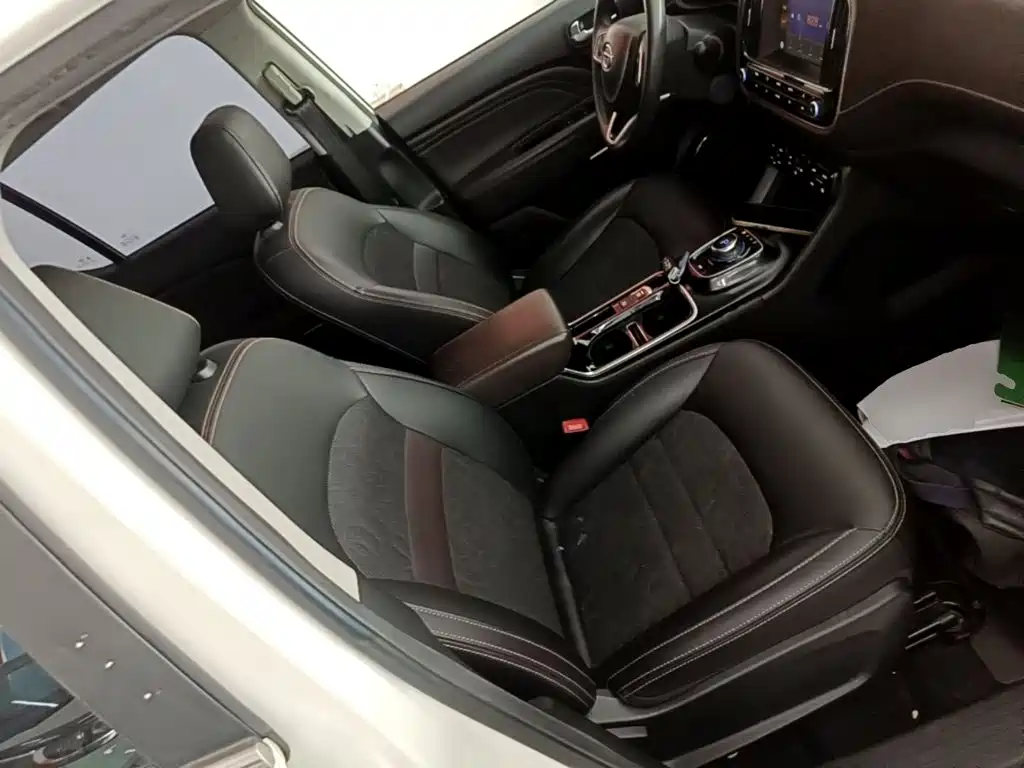 GAC Group Qizhi EV 2019 2019 EV530 Frontline Edition