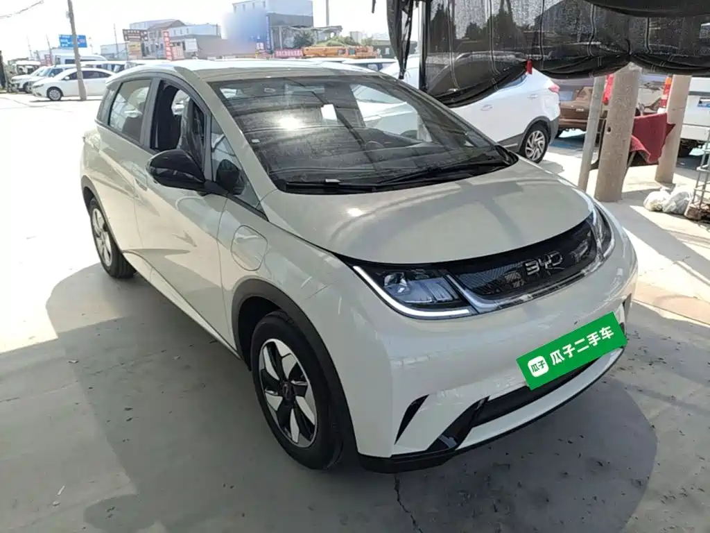 Фото 4 - BYD Dolphin