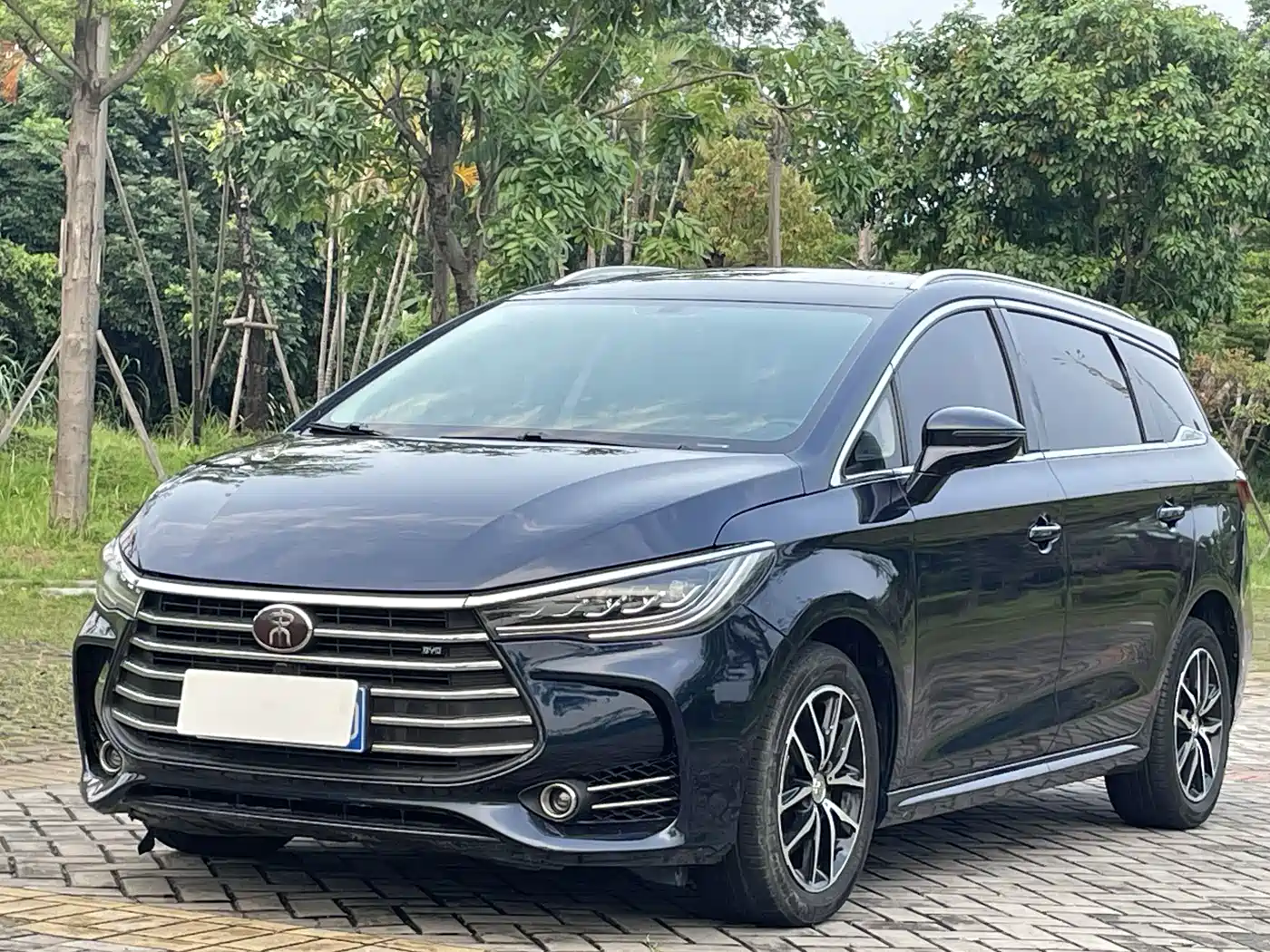 BYD Song MAX 2018 1.5T Auto Smart Connected Premium 7-Seater фото 2