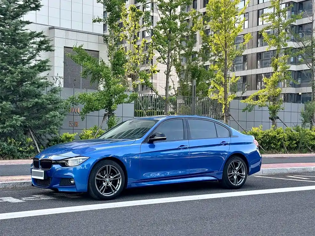 BMW 3 Series 2019 320Li M Sport Black Night Edition