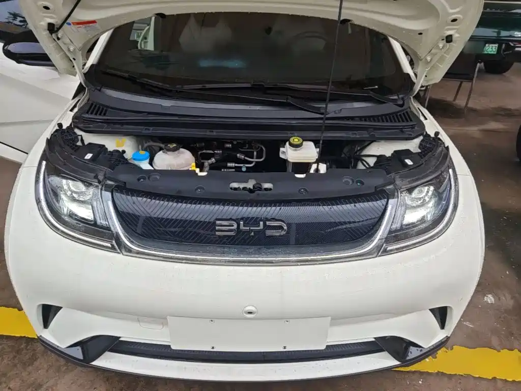 Фото 20 - BYD Dolphin