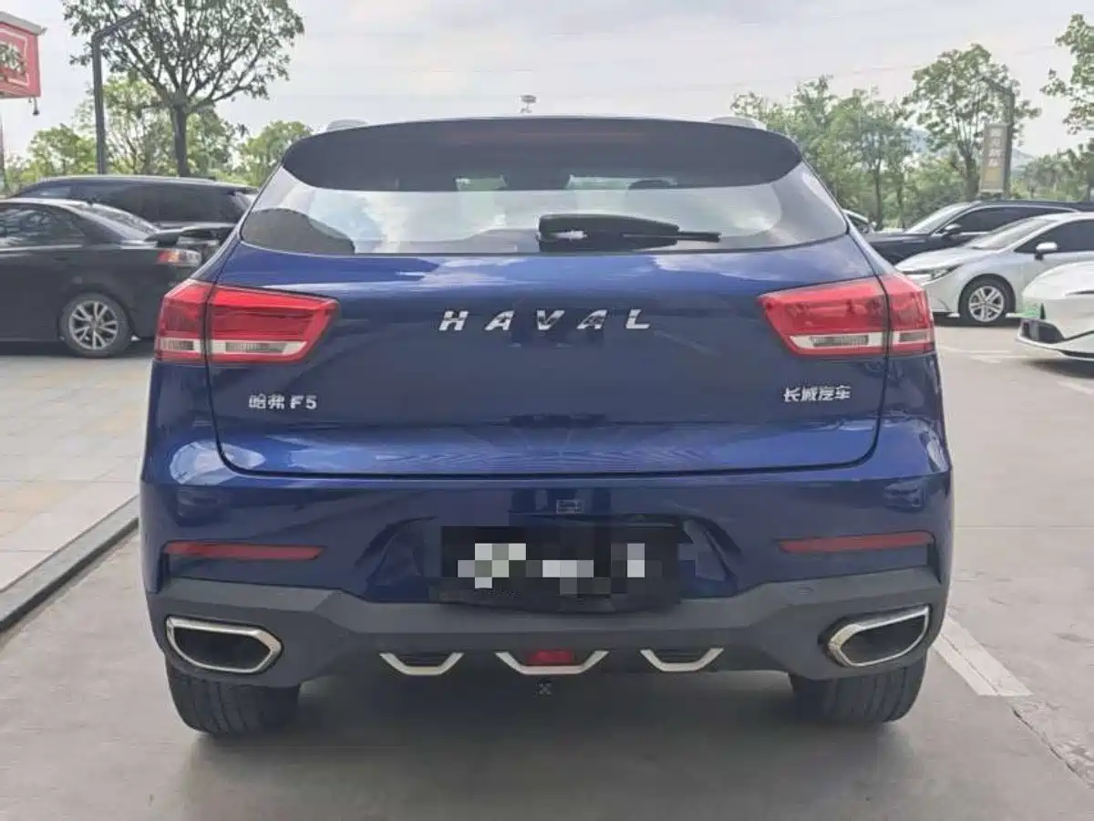 Haval F5 2019 National Trend Edition 1.5T iTrend China VI фото 7