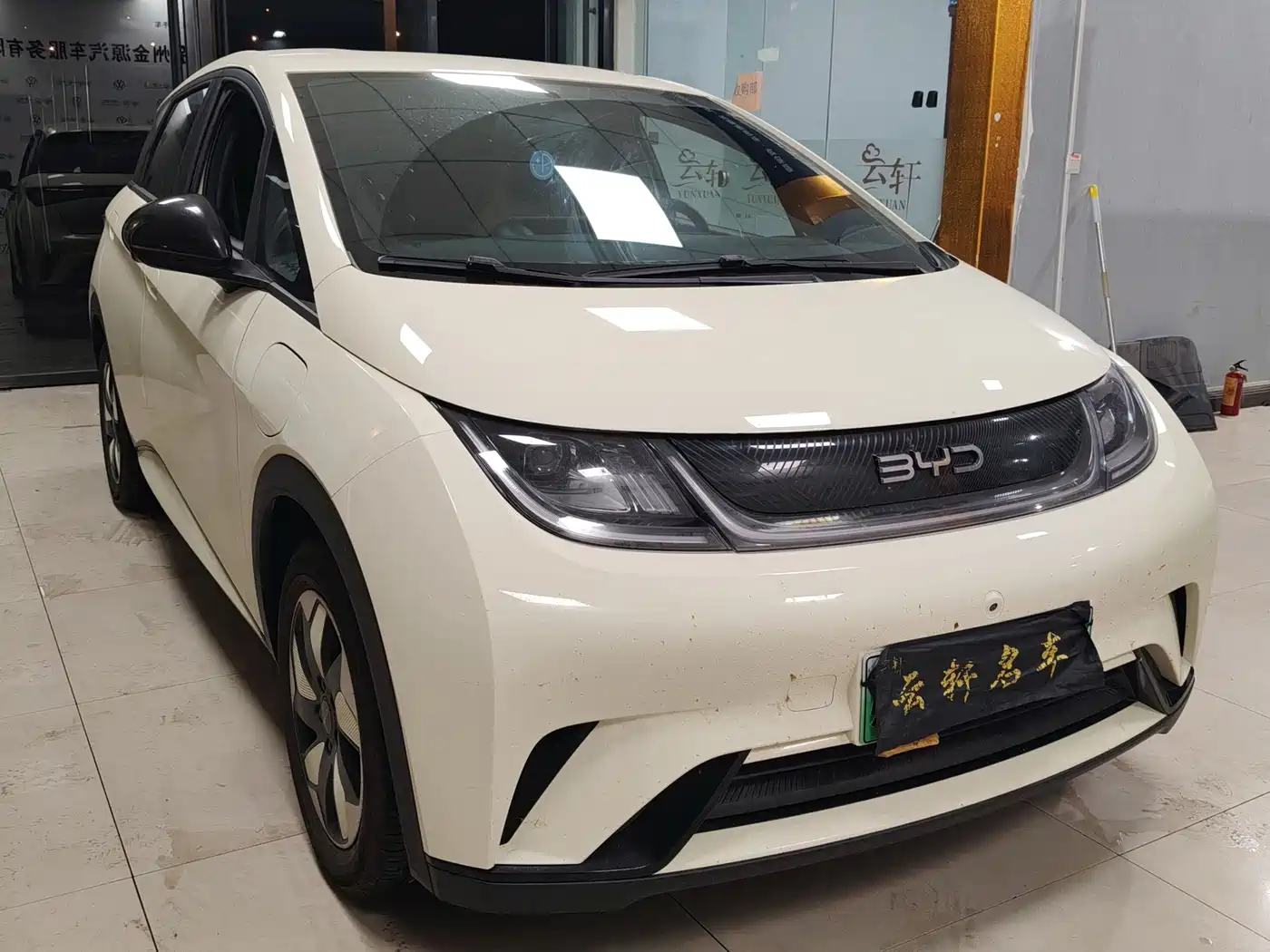 2026 BYD Dolphin