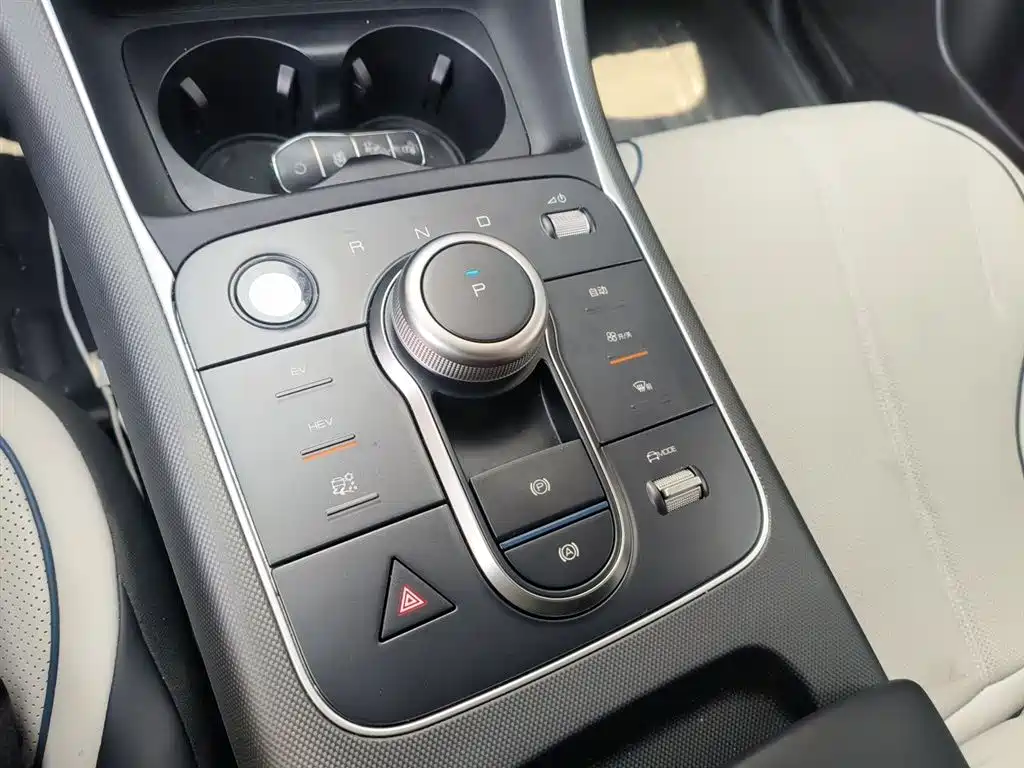 BYD Destroyer 05 2024 Glory Edition DM-i 55KM Luxury фото 7
