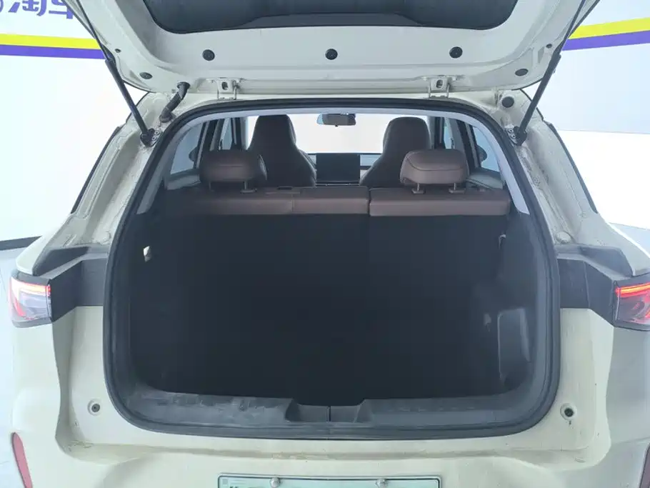 Wuling Motors Wuling Bingo S 2026 2025 Model 325km Premium Edition