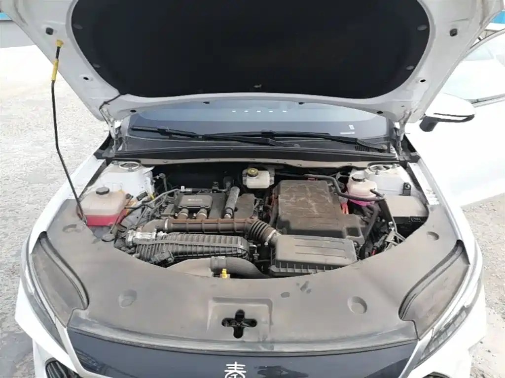 BYD Qin PLUS 2025 DM-i Smart Drive 55KM Leader фото 20