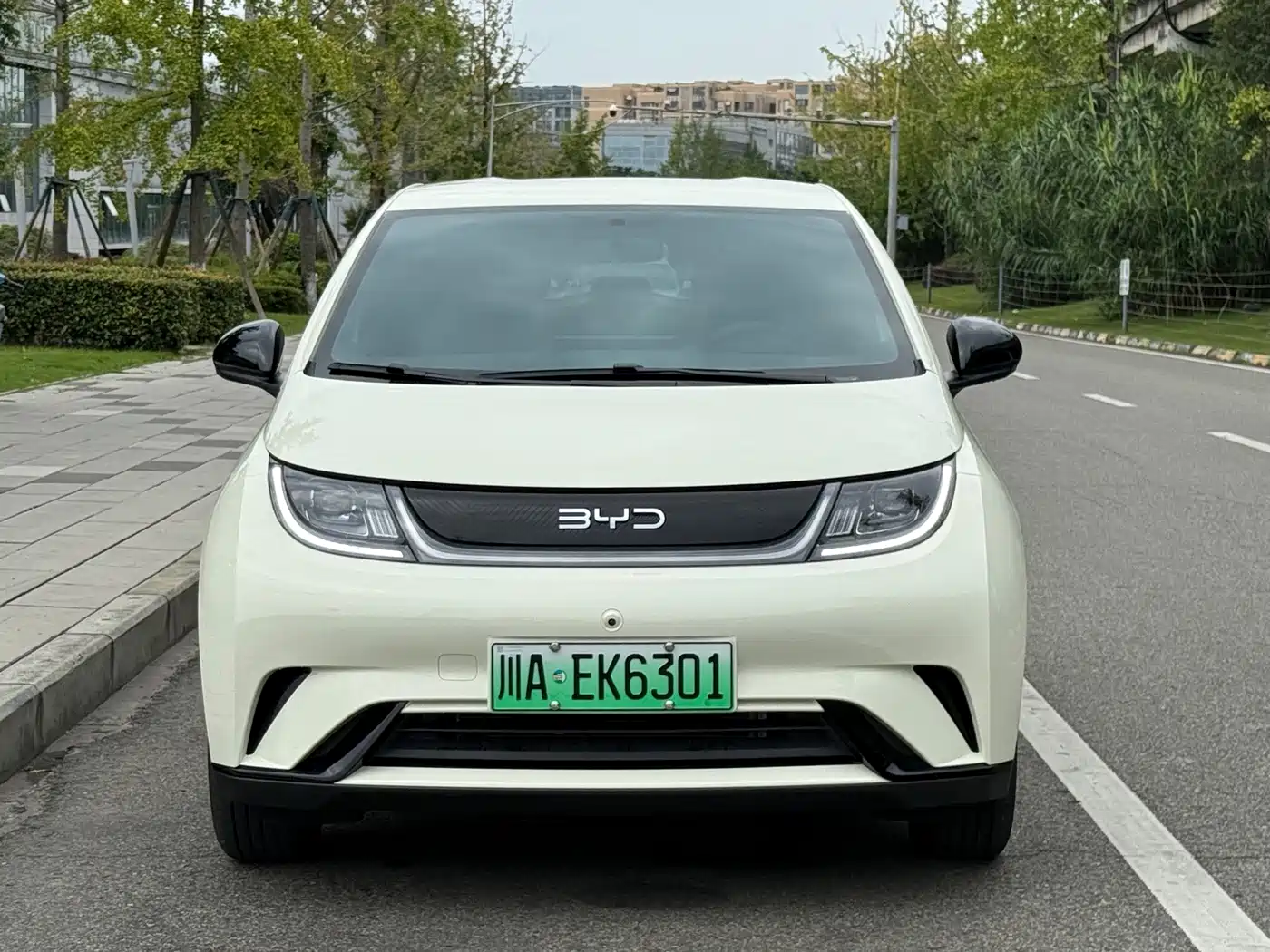 2026 BYD Dolphin