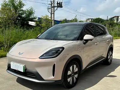 Wuling Bingo S