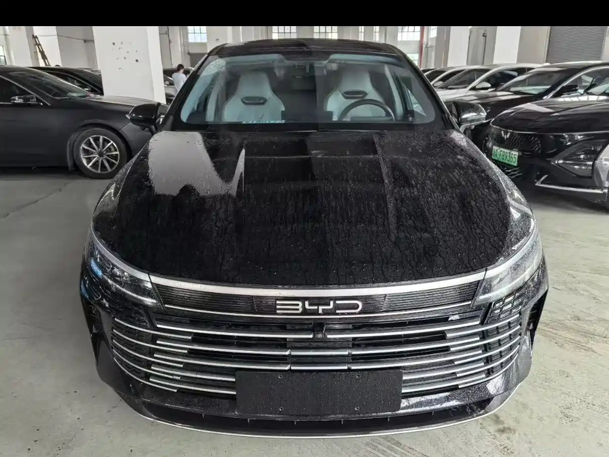 BYD Destroyer 05 2023 Champion Edition DM-i 55KM Luxury фото 6