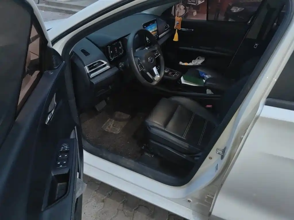 BYD e2 2019 Standard Range Intelligent Comfort фото 13