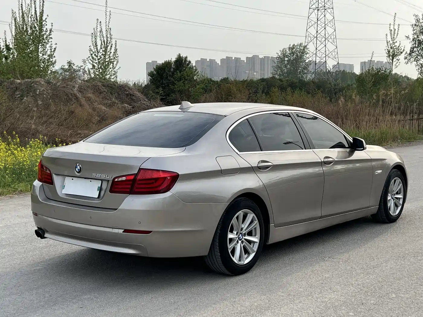 BMW 5 Series 2012 523Li Luxury фото 4