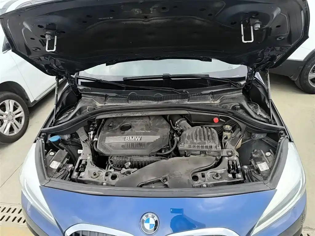 BMW 2 Series Gran Tourer 2019 220i Leading фото 20