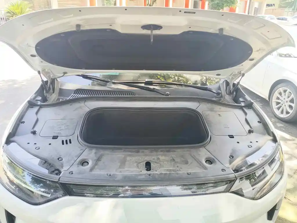 Leapmotor C11 2021 2021 Luxury Edition