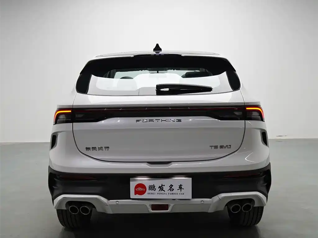 Dongfeng Fengxing Fengxing T5 EVO 2024 2024 Racing Edition 1.5TD DCT Gold