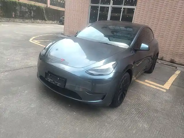 Tesla Model Y Стандартный запас хода, задний привод