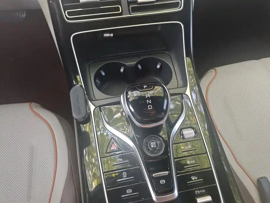BYD Qin PLUS 2024 Glory Edition EV 510KM Leading фото 16