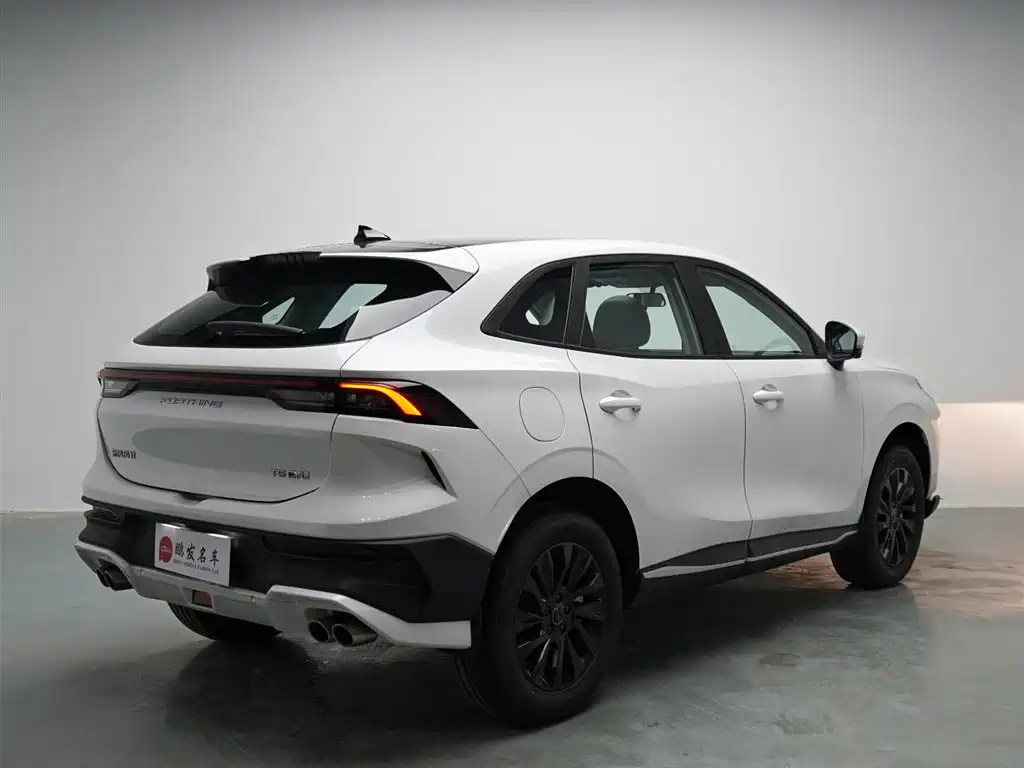 DONGFENG POPULAR T5 EVO