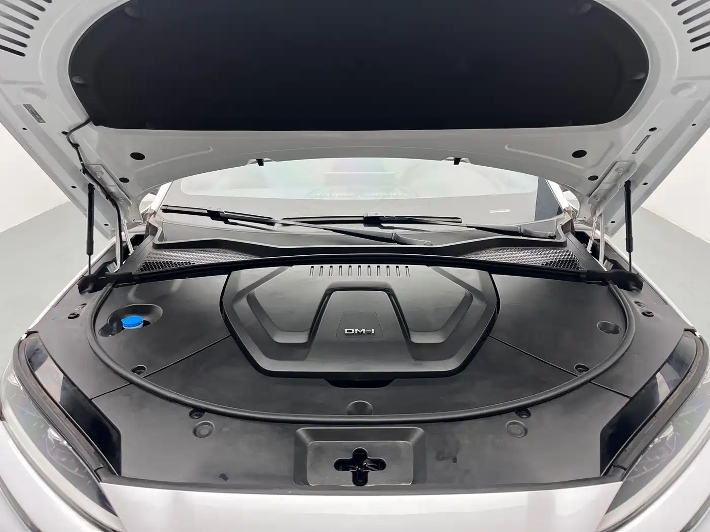 BYD SONGJIANG NEW ENERGY