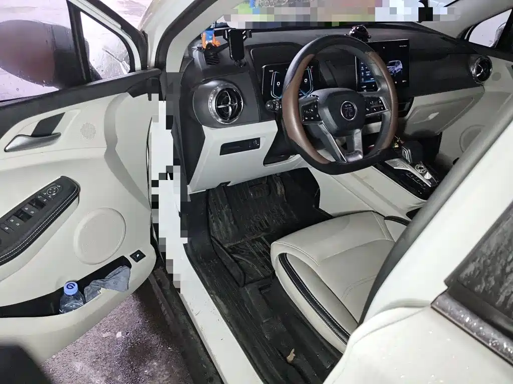 BYD Yuan Pro 2021 2021 401KM Premium Model
