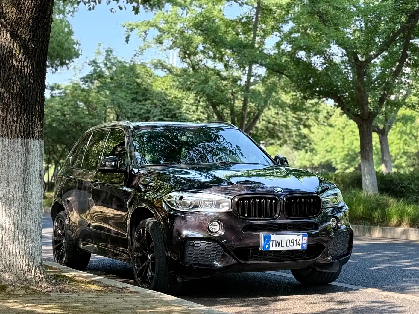 BMW X5 (Import) 2018 xDrive35i M Sport Model фото 3