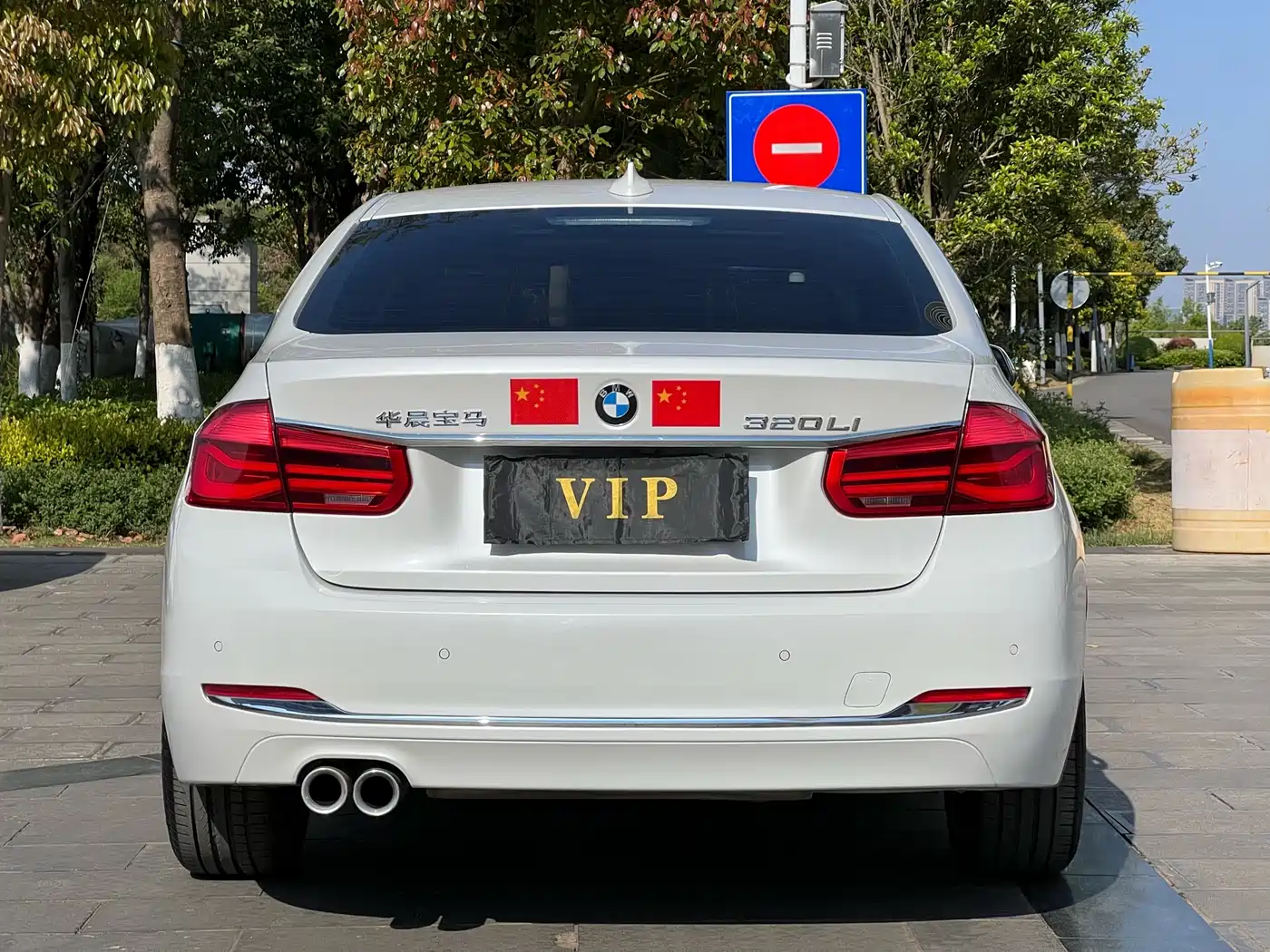 BMW 3 Series 2018 320Li Leading Luxury Package фото 3
