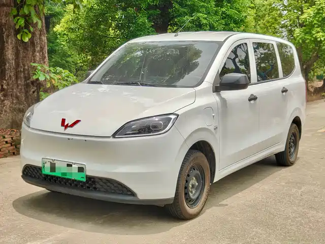 Wuling Motors Wuling Hongguang New Energy 2025