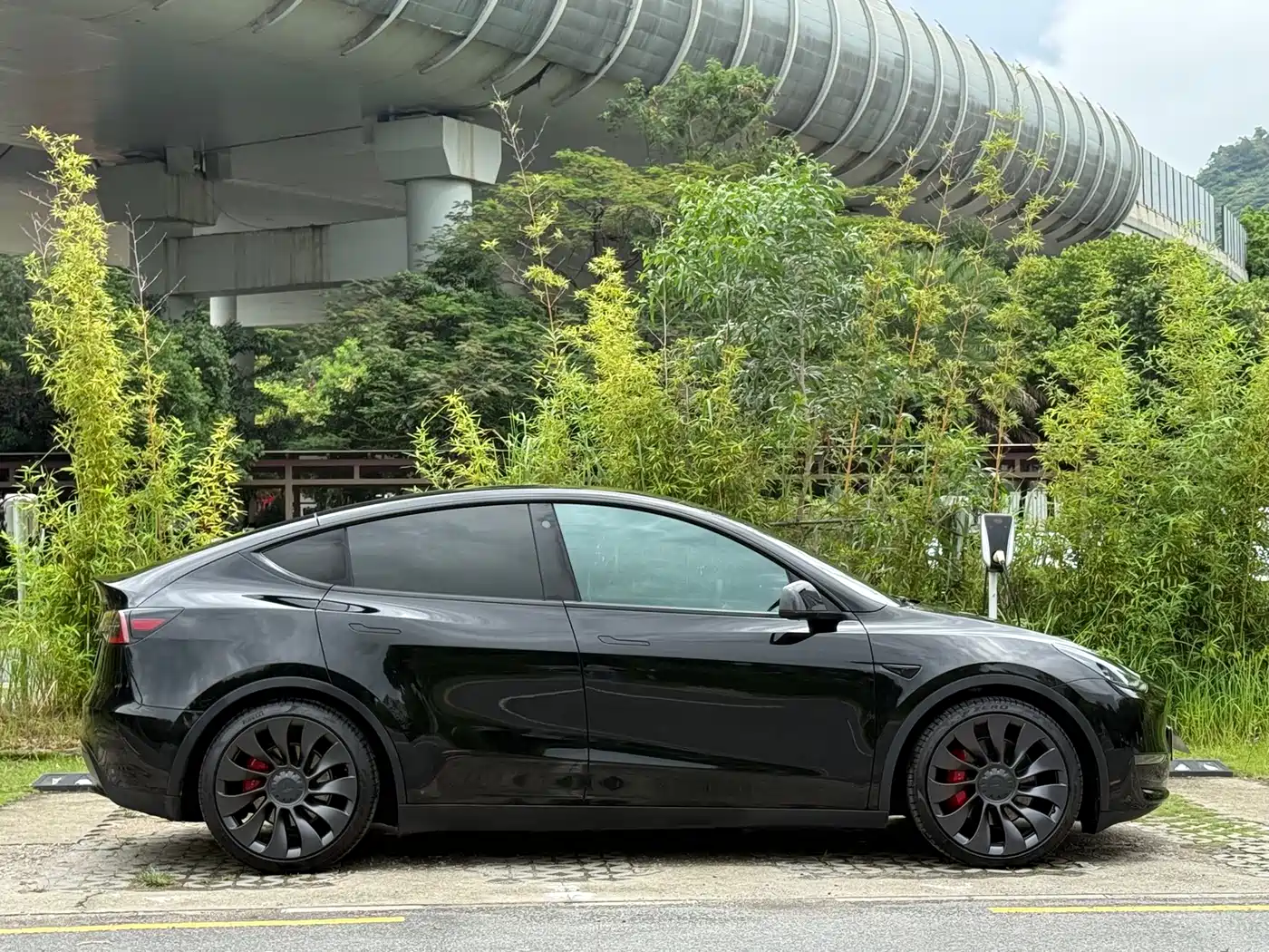 Фото 6 - Tesla Model Y