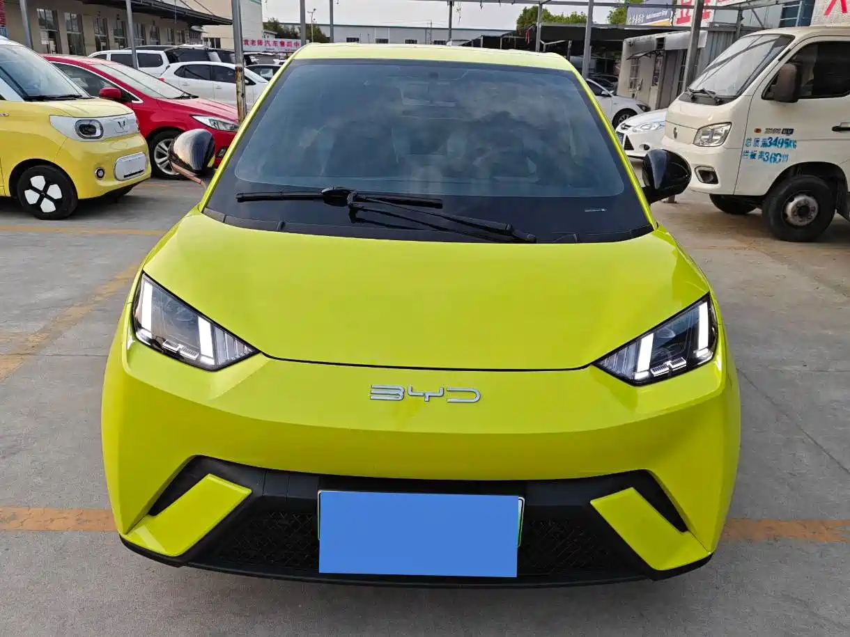 BYD Seagull 2023 Vitality Edition фото 2
