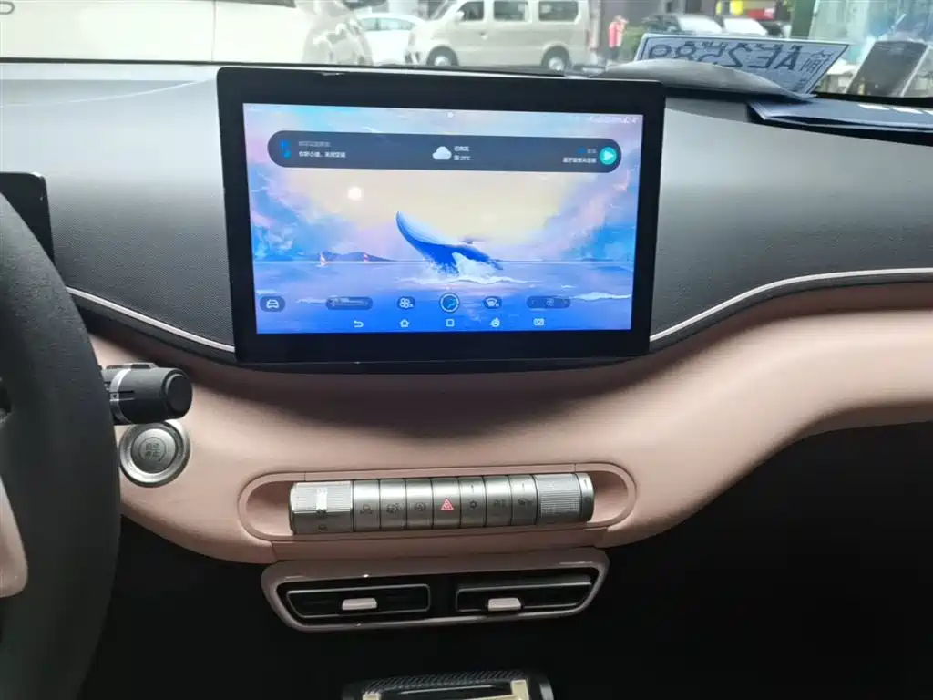 BYD Seagull 2023 Vitality Edition фото 13