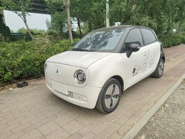Ora Black Cat 301km, Милый питомец