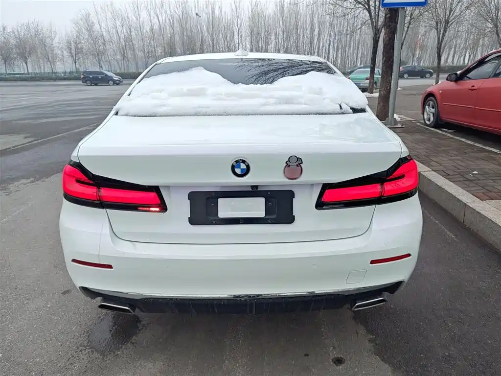 BMW 5 Series 2022 Facelift II 530Li Luxury Trim Premium Package фото 4