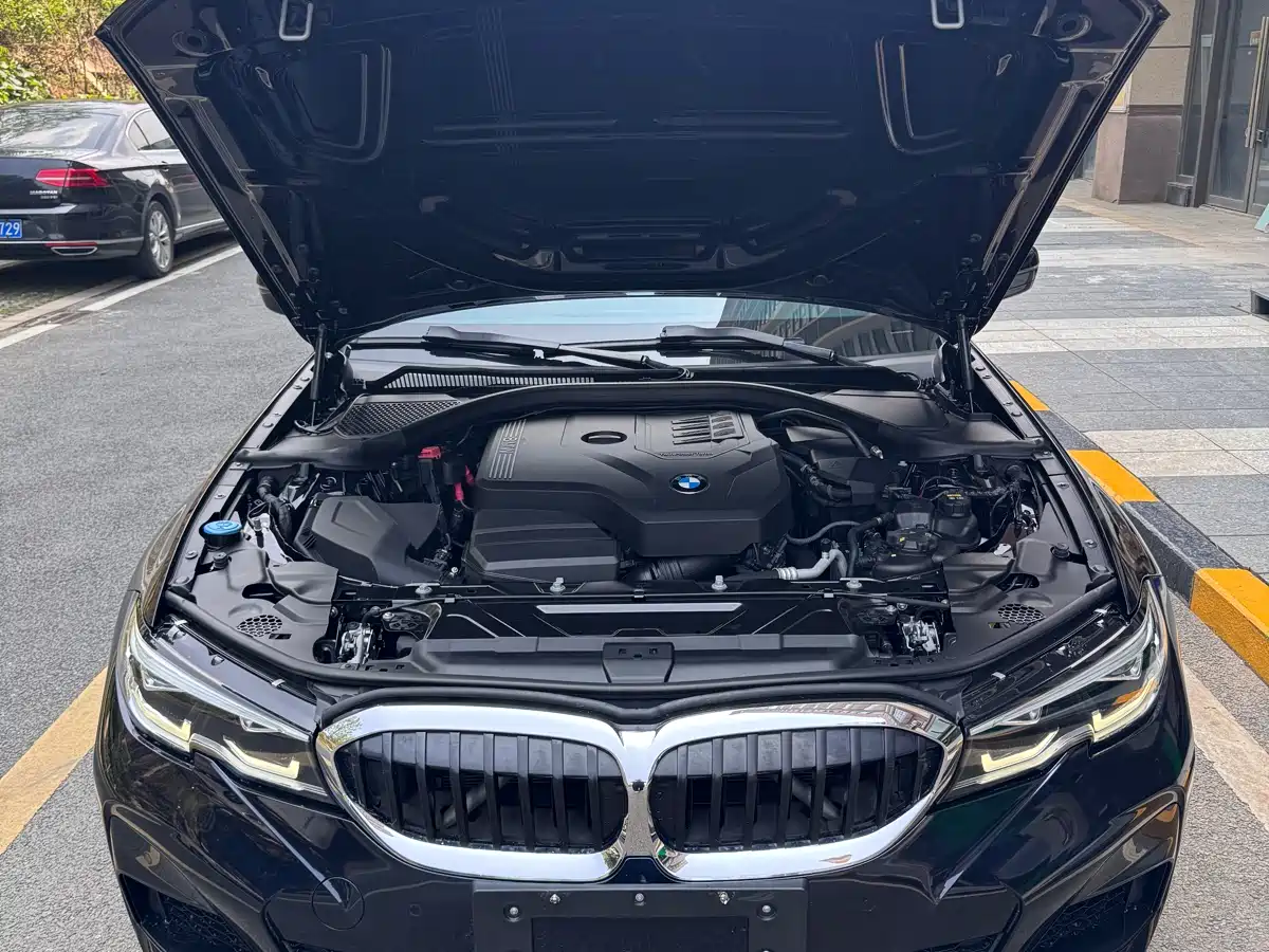 BMW 3 Series 2020 325i M Sport Package фото 19