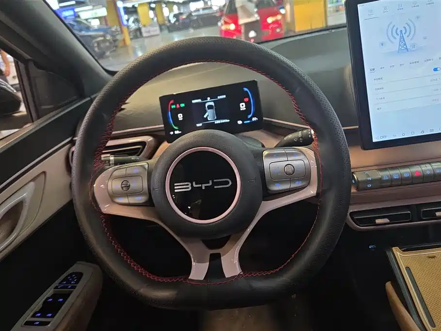 BYD Seagull 2023 Vitality Edition фото 15