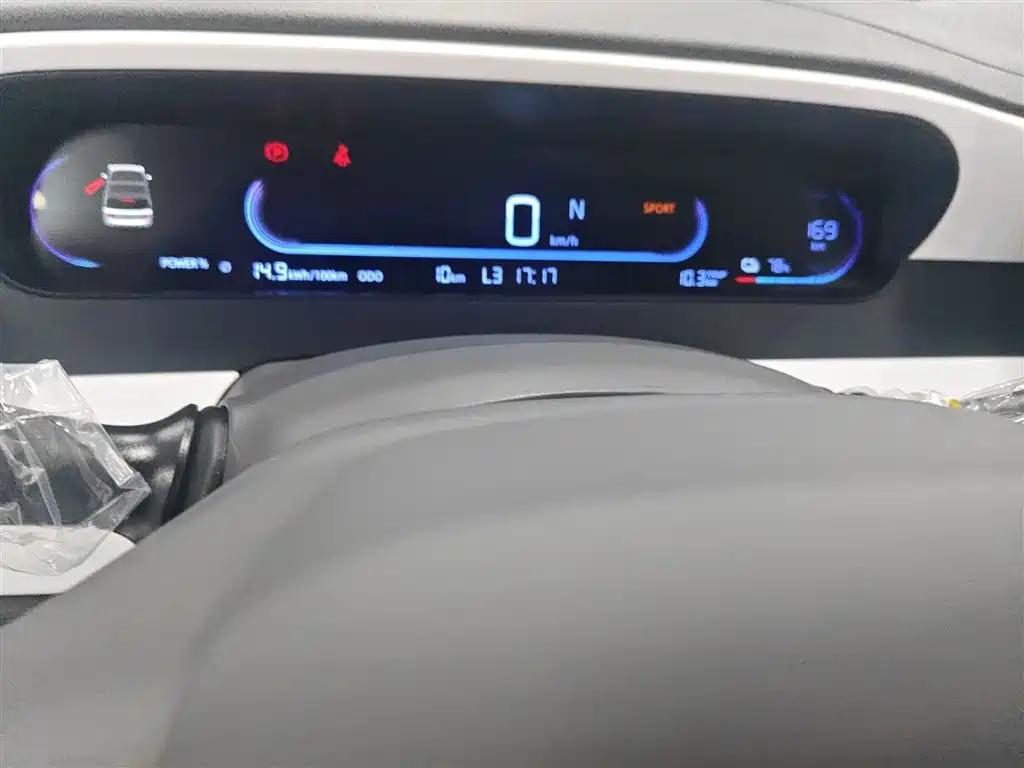 Geely Galaxy Panda 2025 Panda mini 210km Vitality Bear фото 12