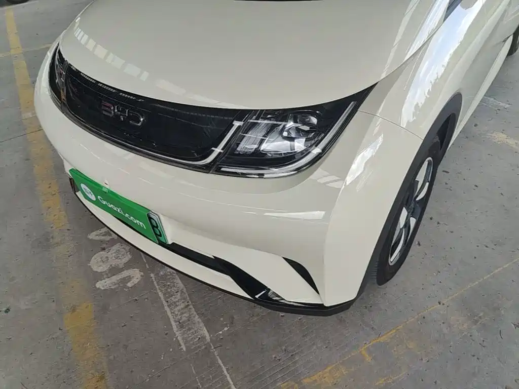 BYD Dolphin 2025 2025 420km Freedom Edition