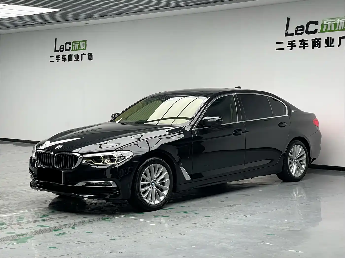 BMW 5 Series New Energy 2019 530Le Pioneer Edition