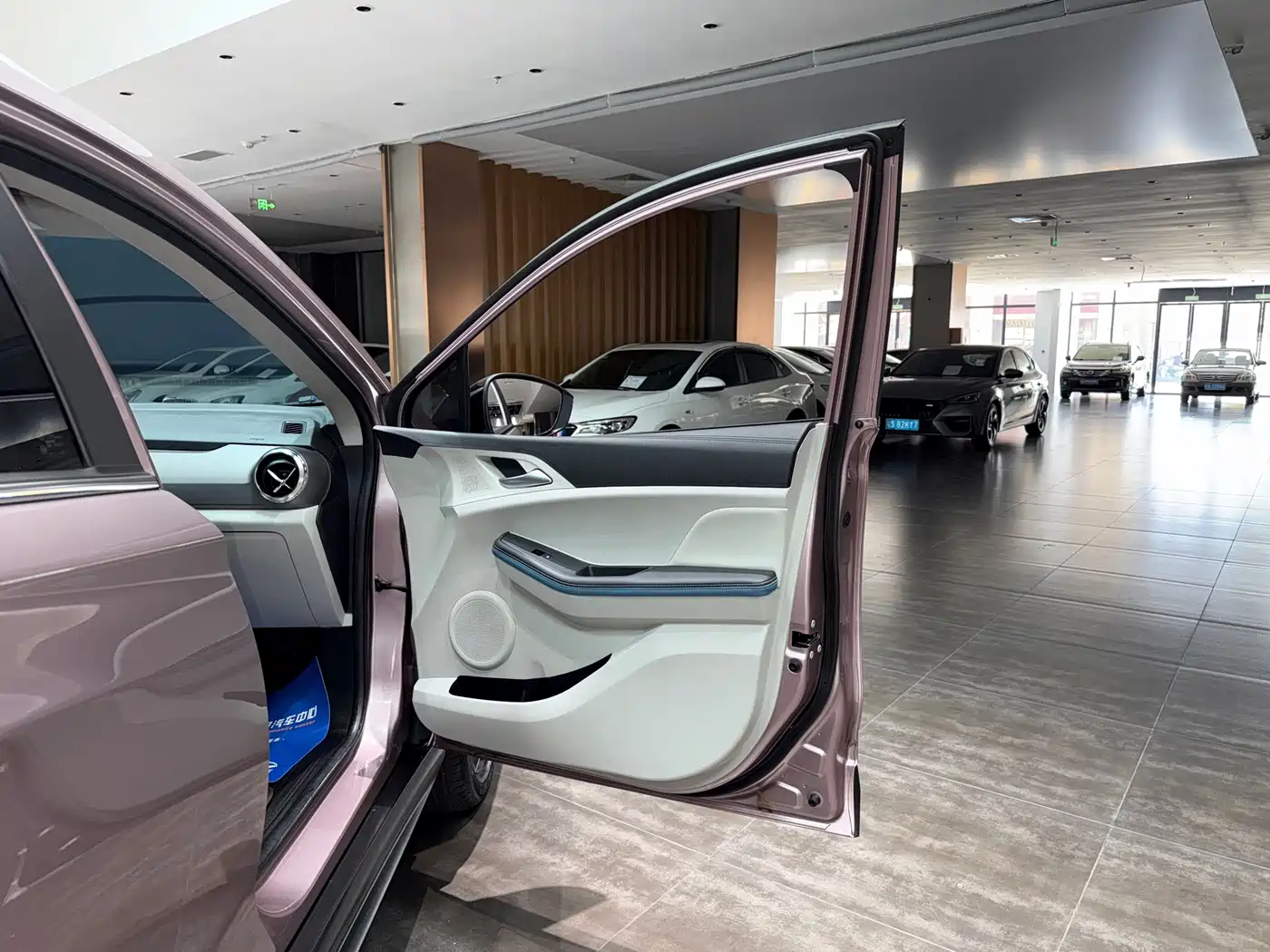 BYD Yuan Pro 2023 2023 401KM Premium