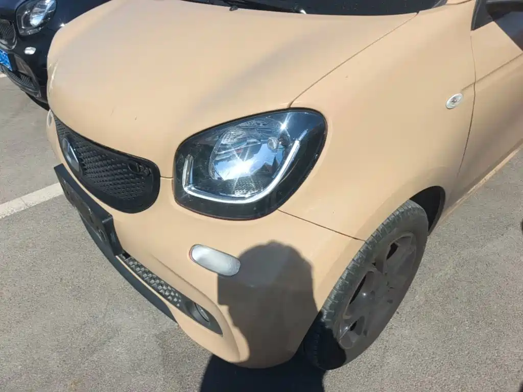 Фото 24 - smart forfour