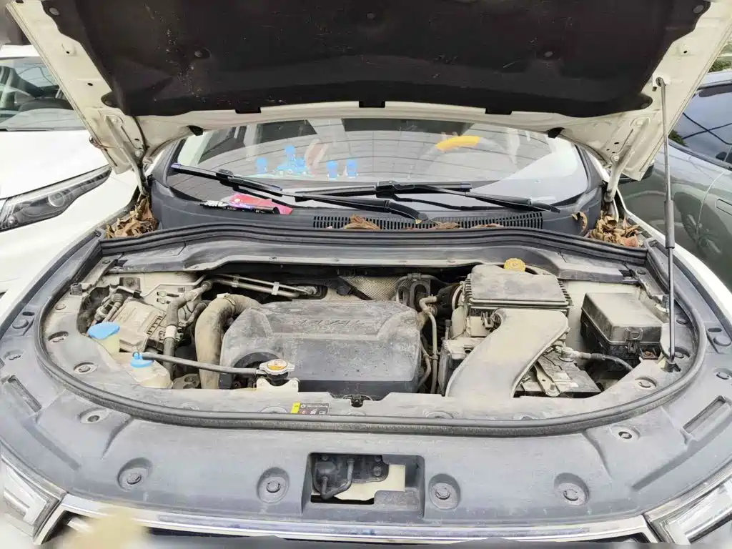 Haval H2s 2018 2018 Blue Label 1.5T DCT Luxury Model